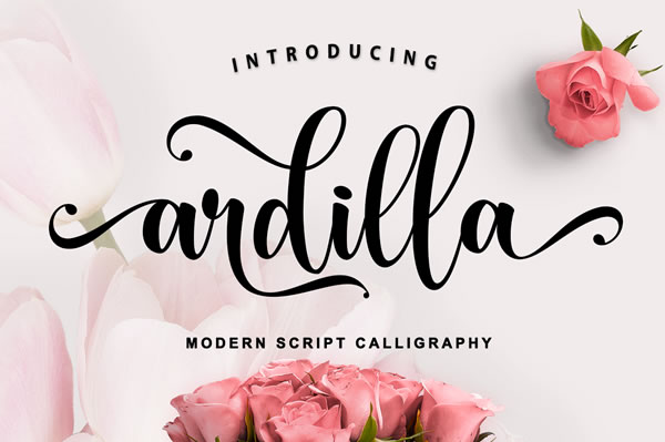 Ardilla Font: A Handwritten Script Font with Classic Calligraphy Charm