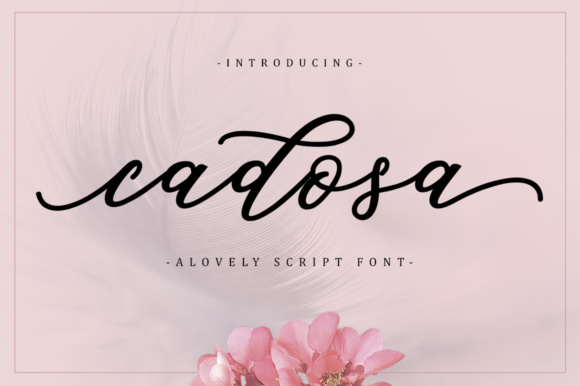 The Art of Cadosa: When Calligraphy Meets Modern Typography